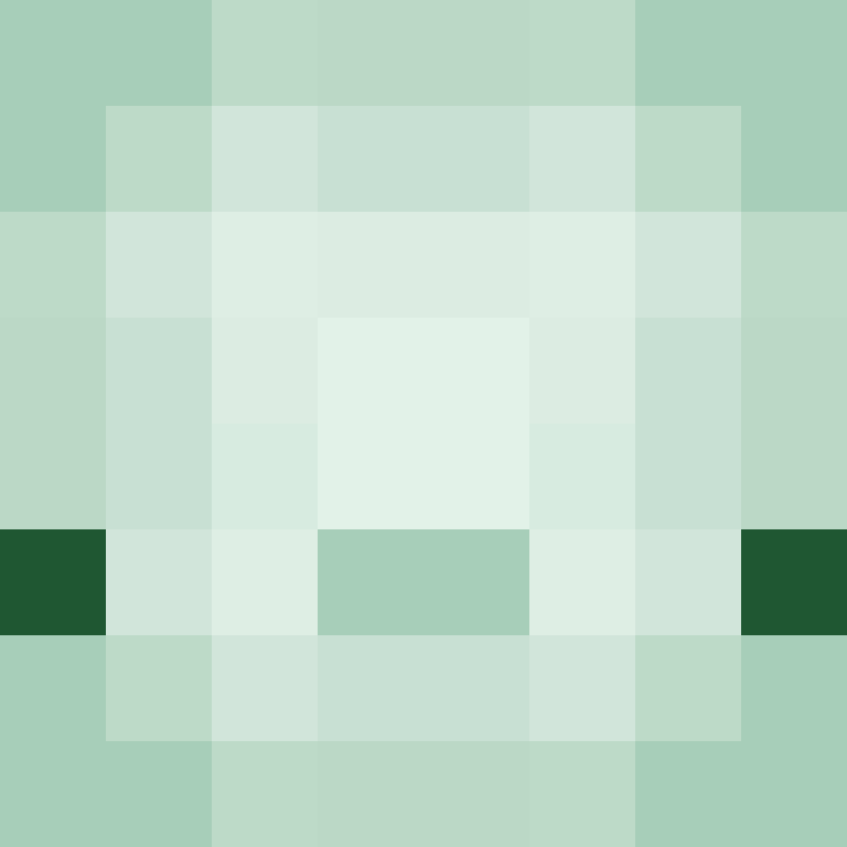 hitbi's skin
