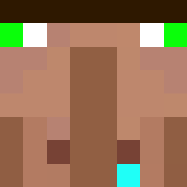 SkinEnthusiast's skin