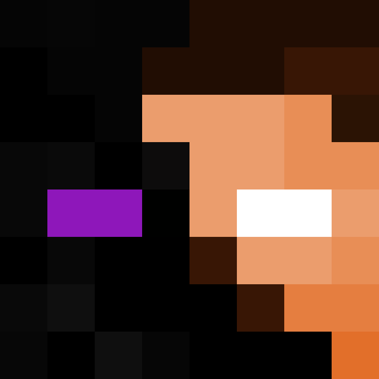 MineMO29's skin