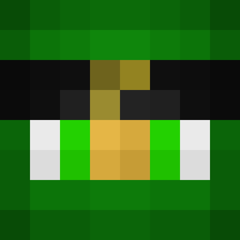 LN9999's skin