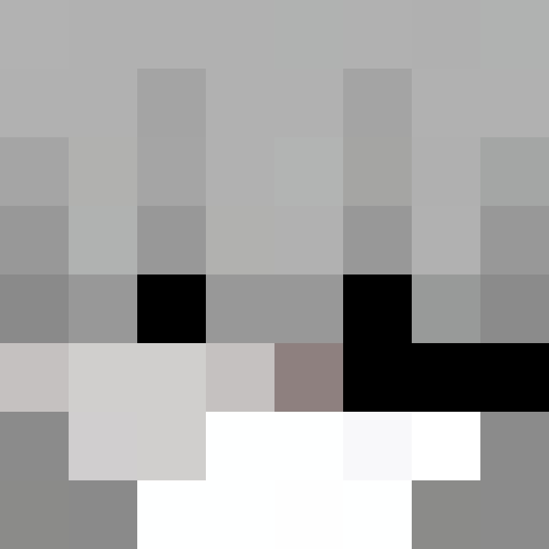 CravenBlock's skin