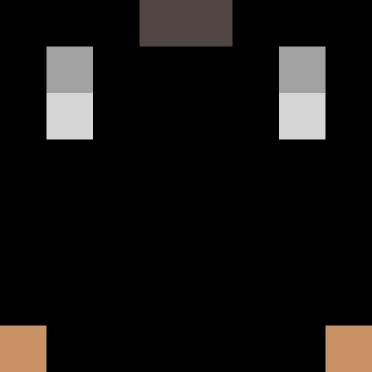 Baerr__'s skin