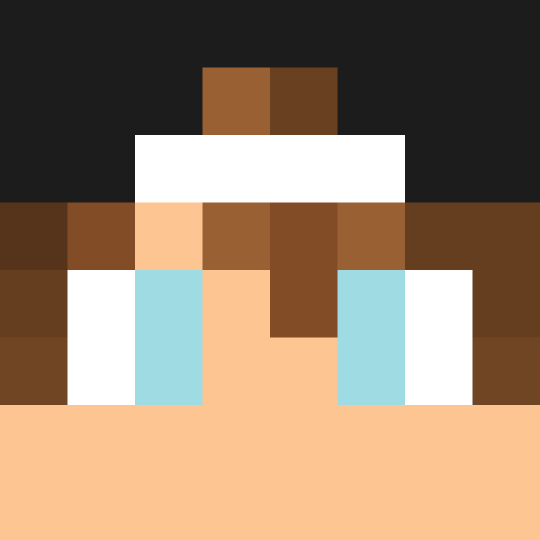 IINekoI's skin