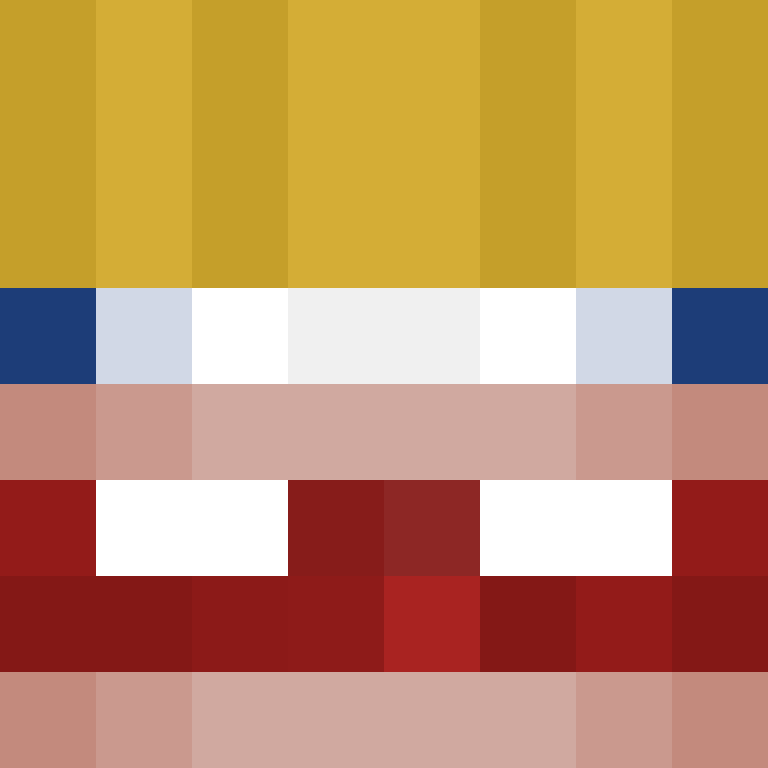 Yirds's skin