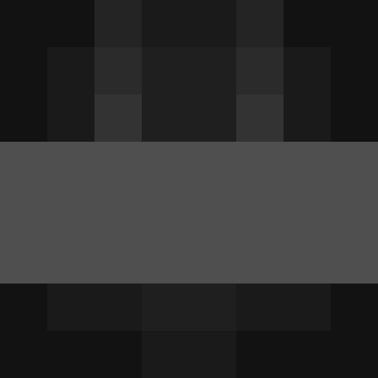 Robochales's skin