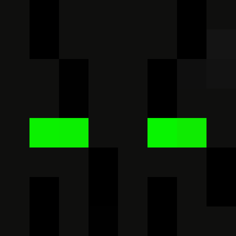 Fokus5's skin