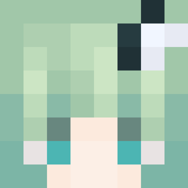 xinyue1212's skin