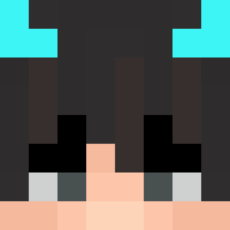 8aca680b22461340's skin