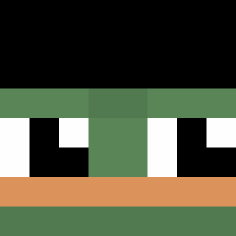 saltetbrian's skin
