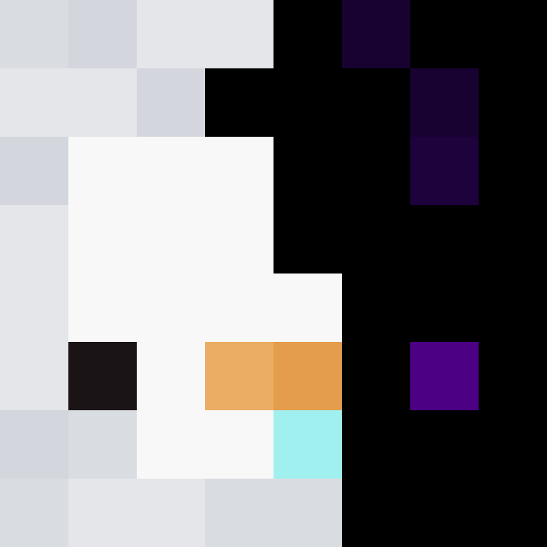 fl_t's skin