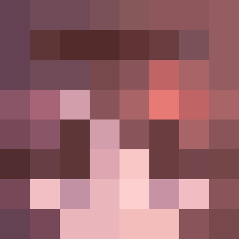 SlowDownFixer's skin