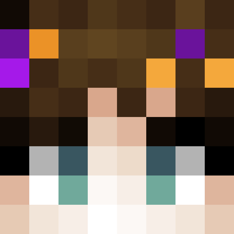 Dragiltoilet's skin