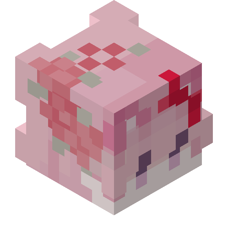 HEAD_ISO