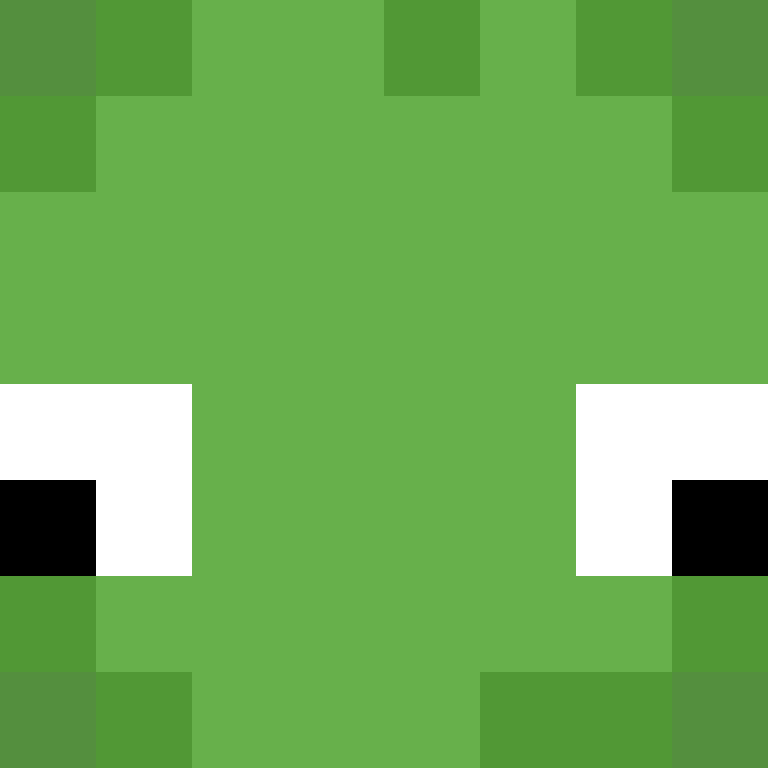 litefn's skin
