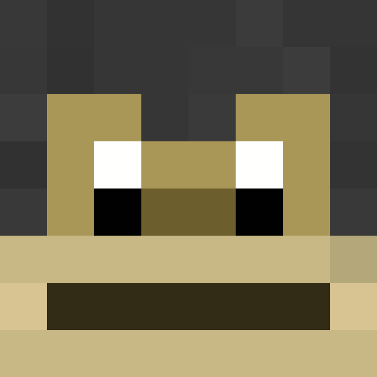 handicapmoteur91's skin