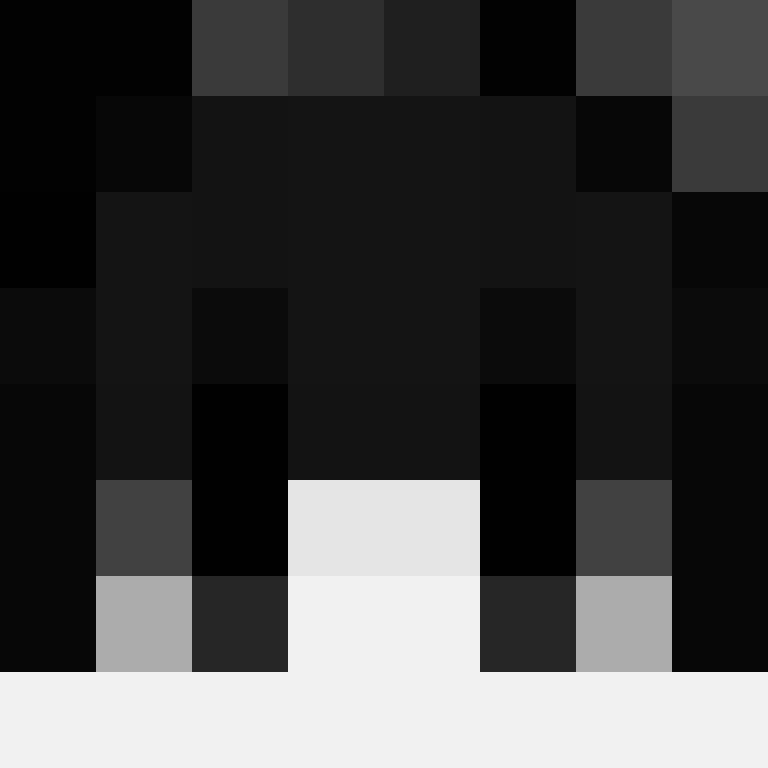 308z's skin