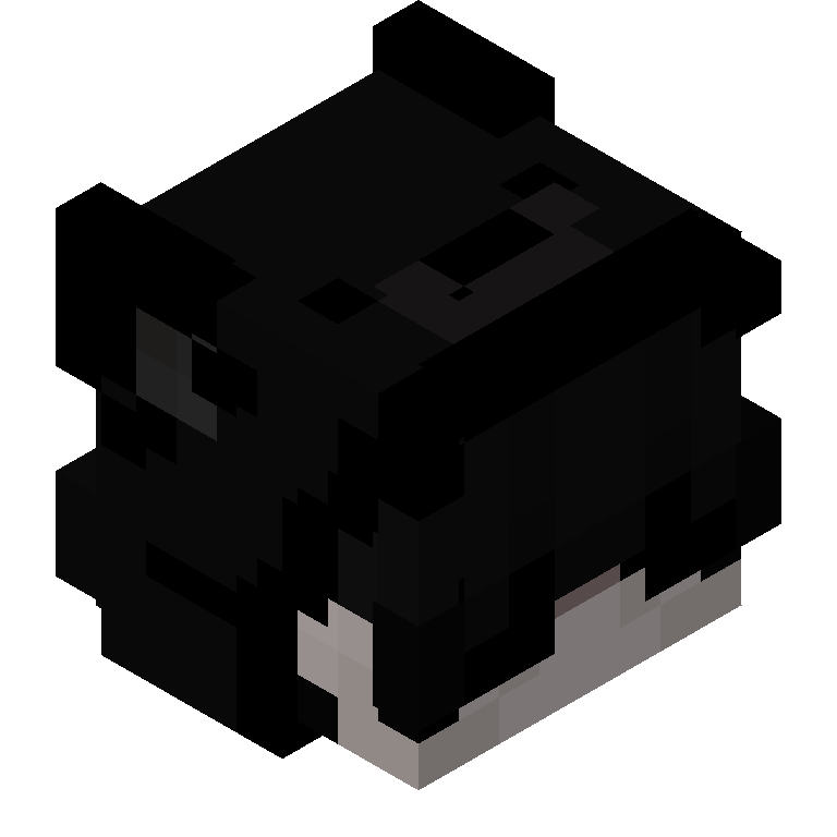 HEAD_ISO