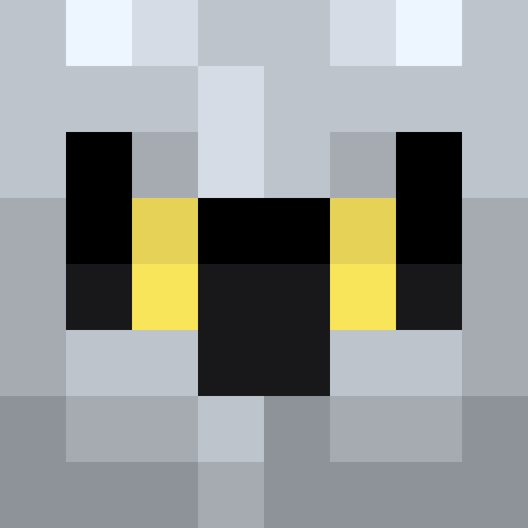 MiniGamerD's skin