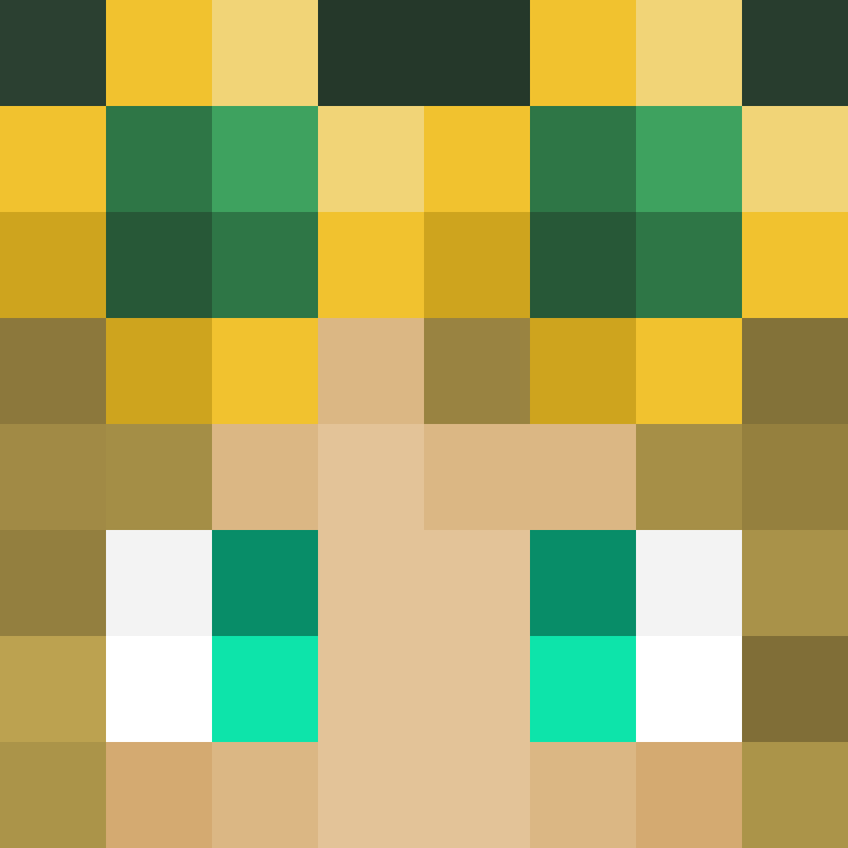 TempleWarden's skin