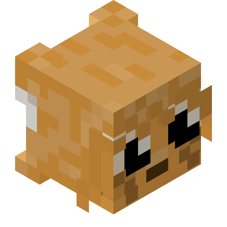 HEAD_ISO