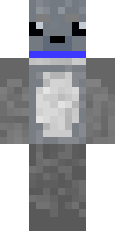 BODY