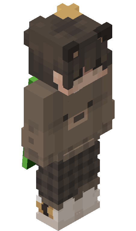 AQuadraX skin - FULLBODY_ISO_FRONT