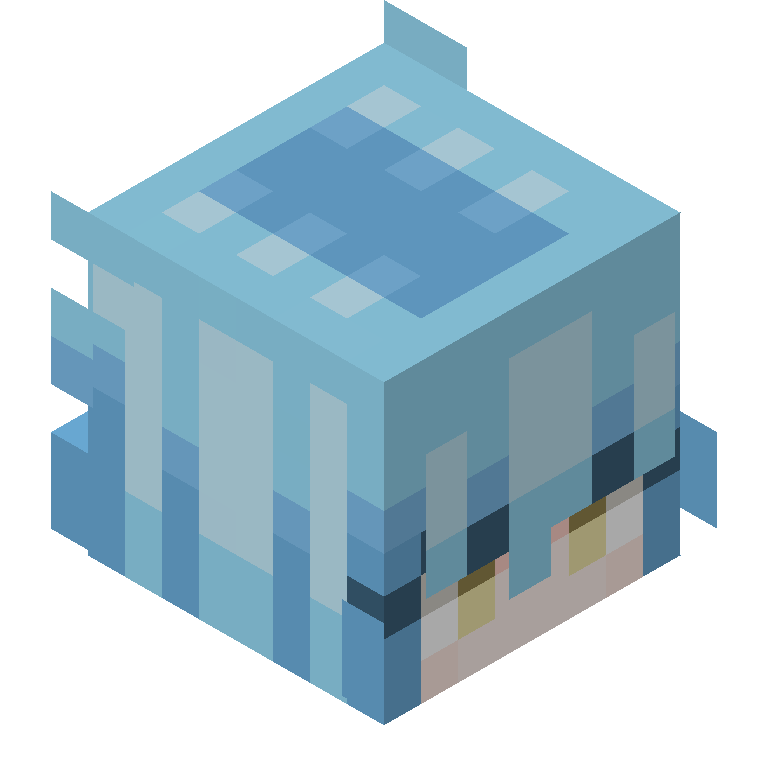 HEAD_ISO
