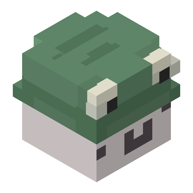 HEAD_ISO