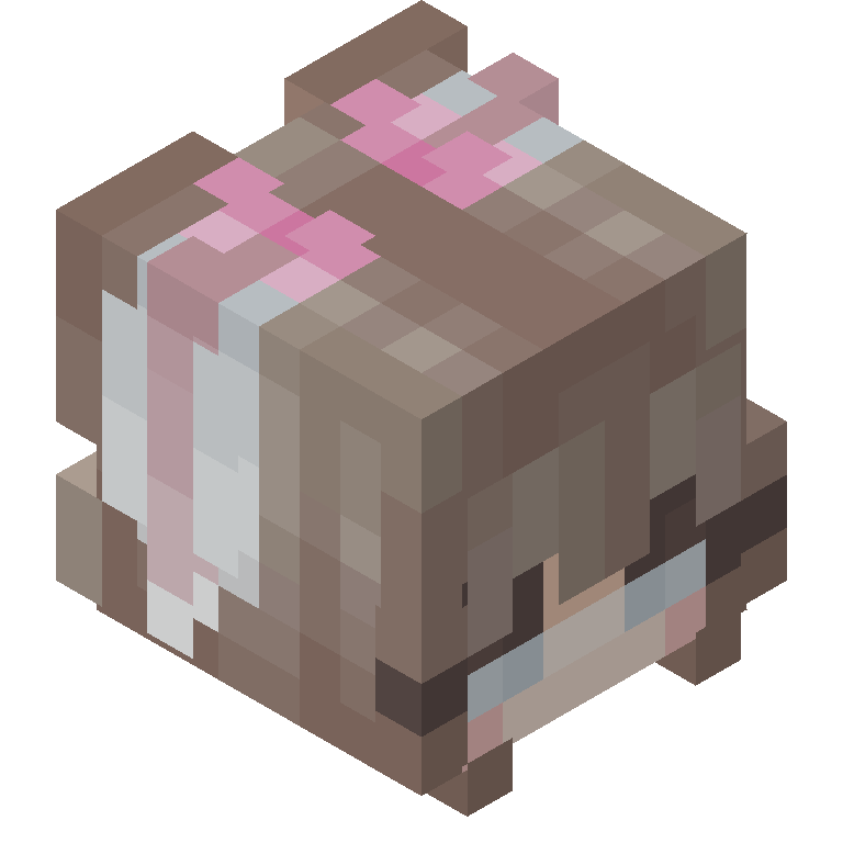 HEAD_ISO