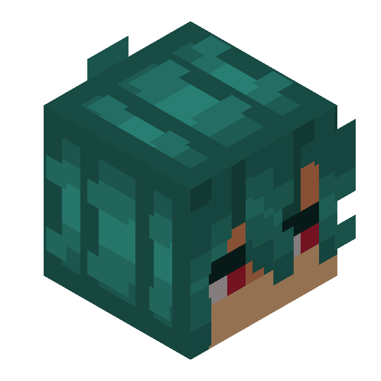 HEAD_ISO