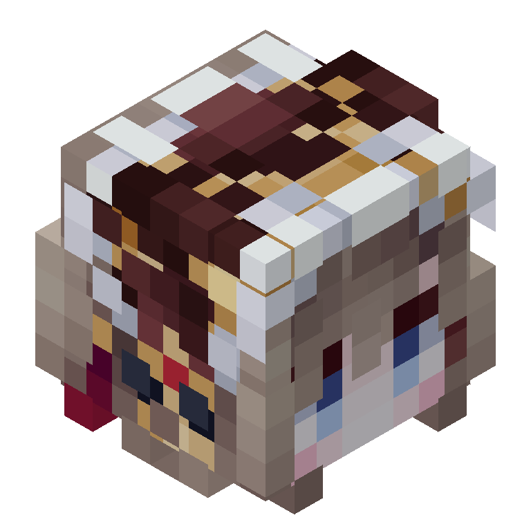HEAD_ISO