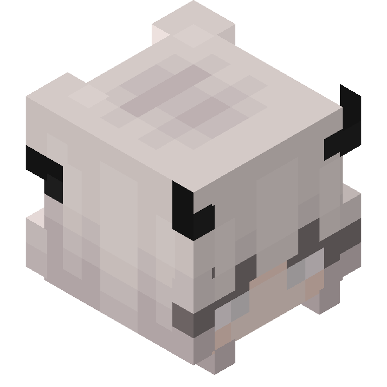 HEAD_ISO
