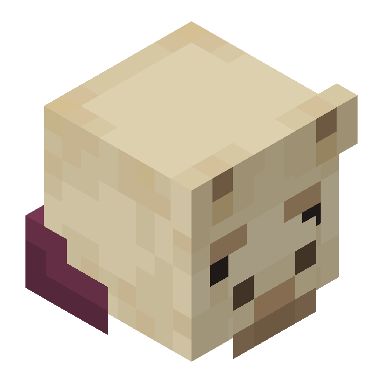 HEAD_ISO