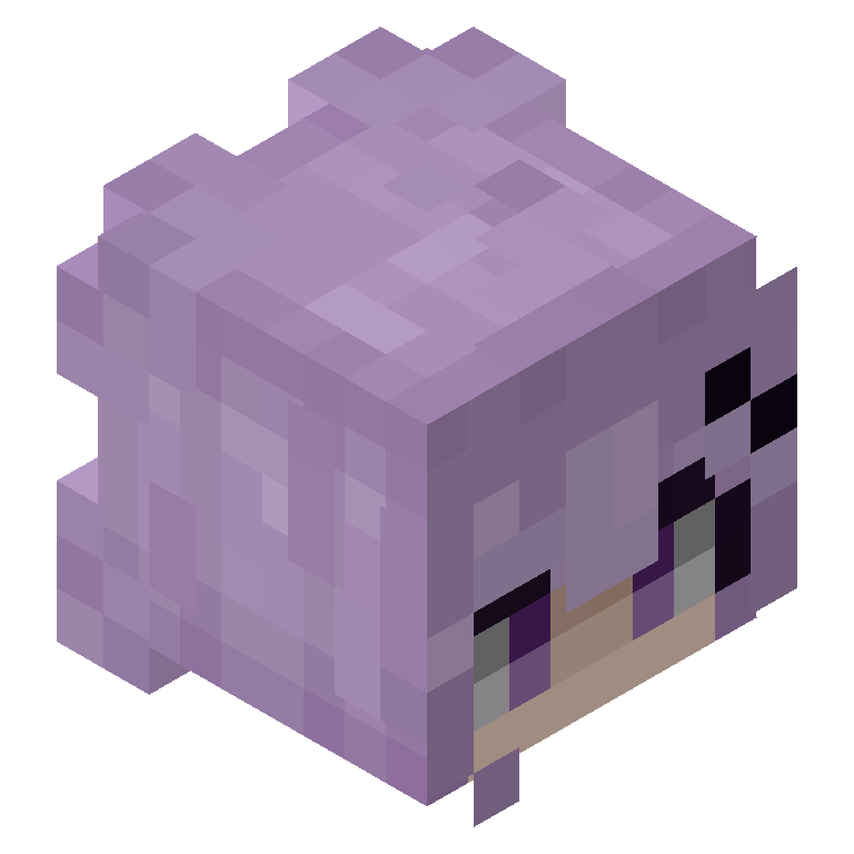 HEAD_ISO