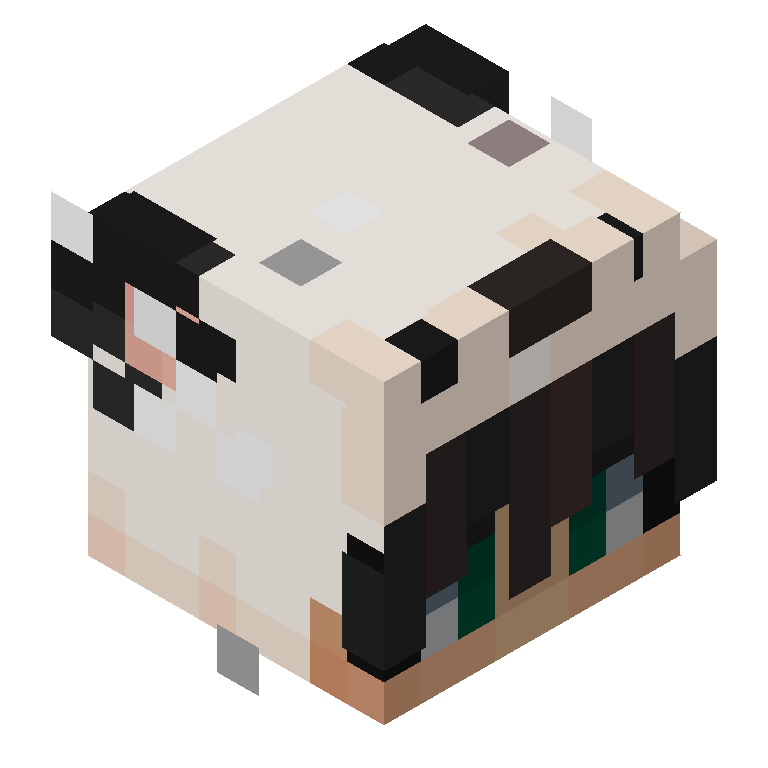 HEAD_ISO