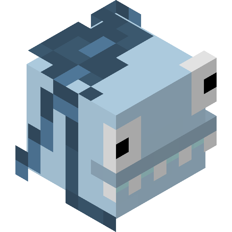 HEAD_ISO