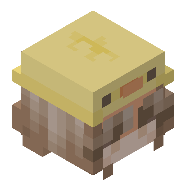 HEAD_ISO