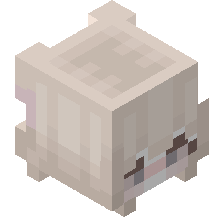 HEAD_ISO