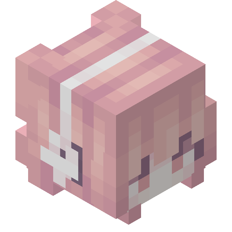 HEAD_ISO