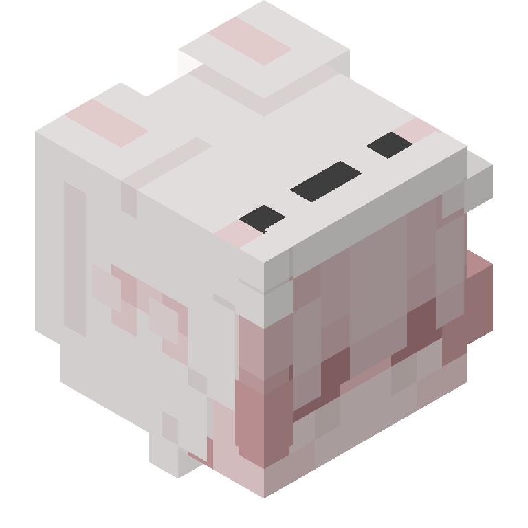 HEAD_ISO