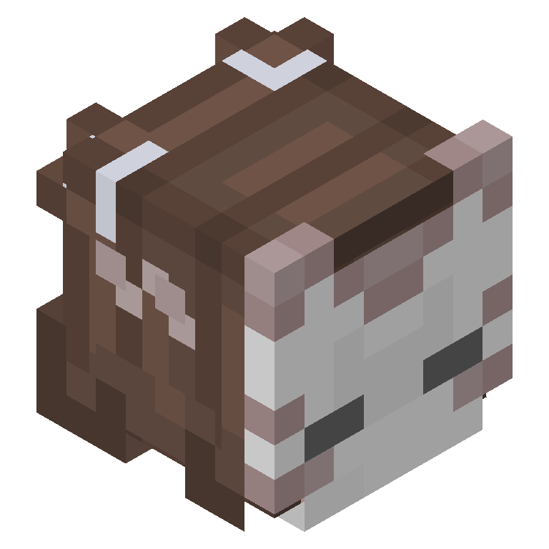 HEAD_ISO