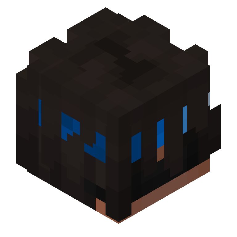 HEAD_ISO