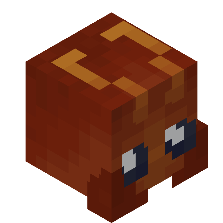 HEAD_ISO