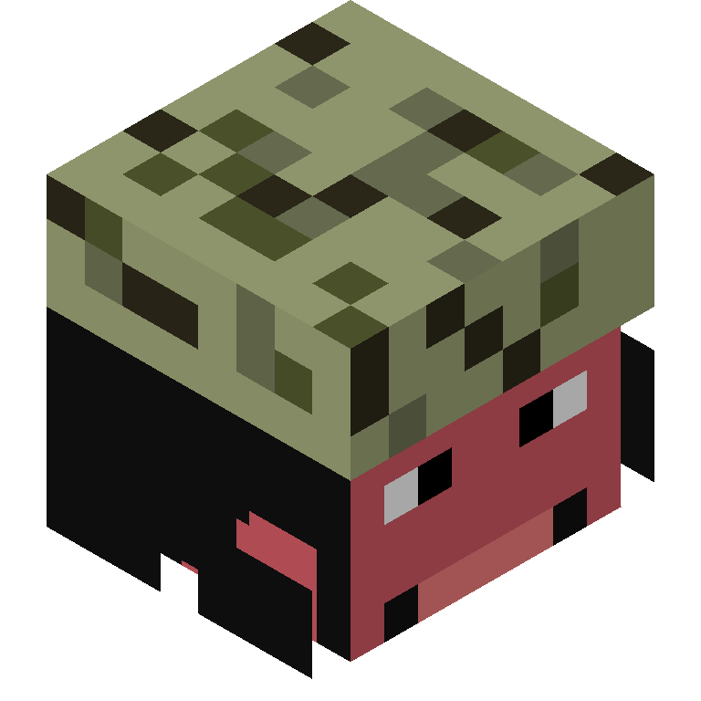 HEAD_ISO