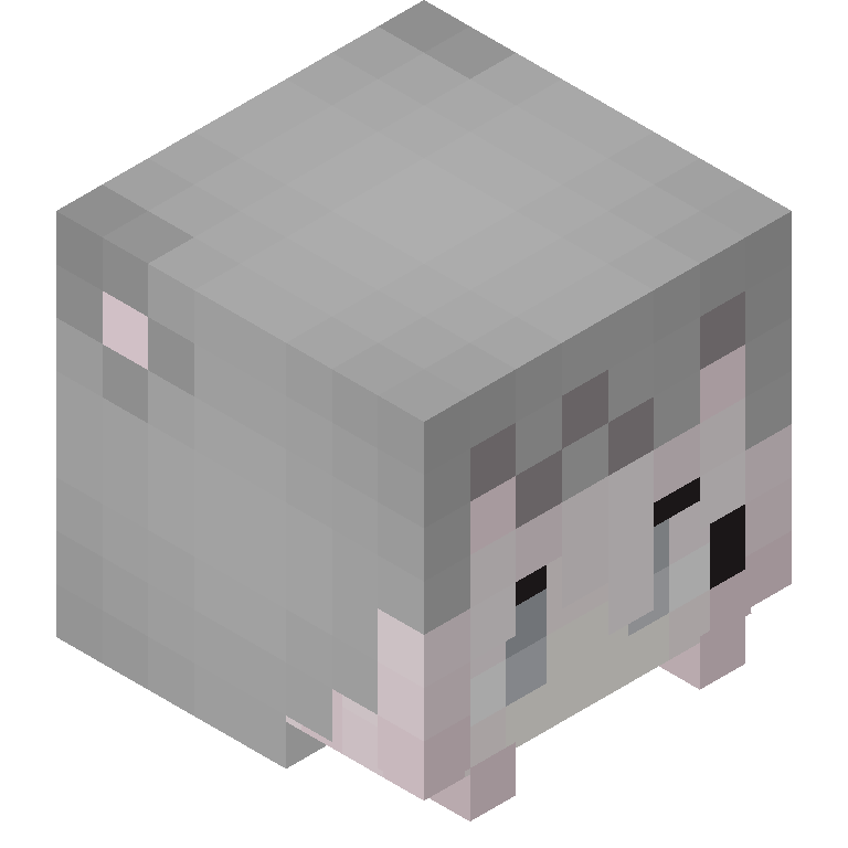 HEAD_ISO