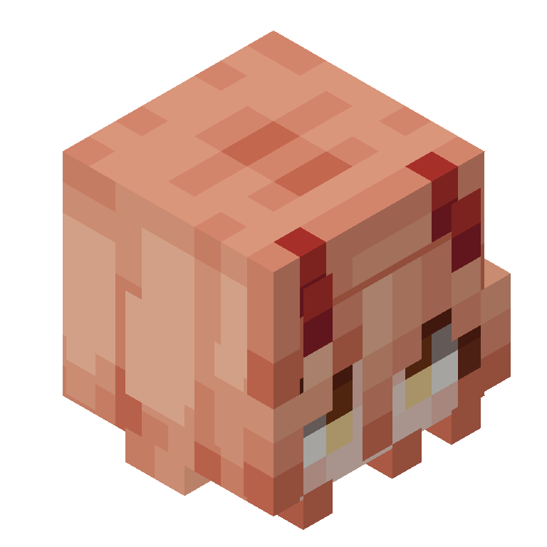 HEAD_ISO