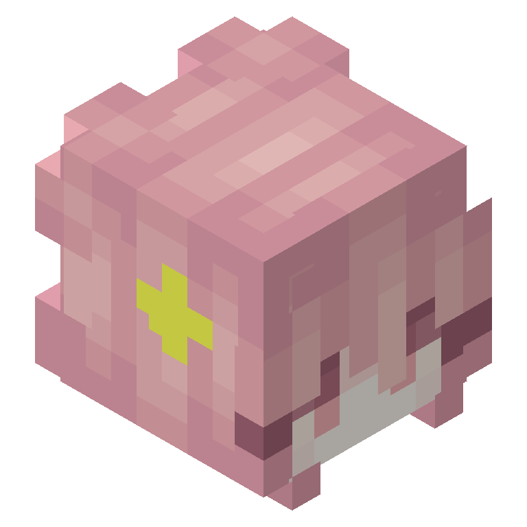 HEAD_ISO