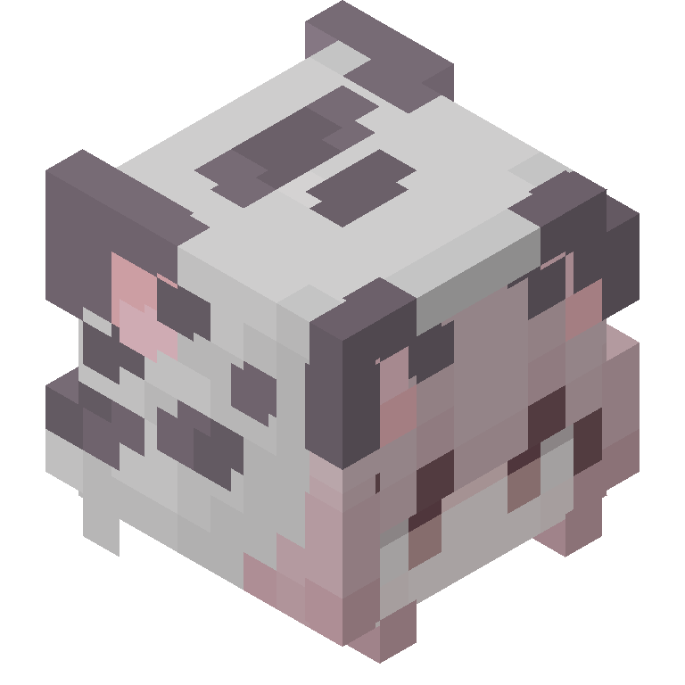 HEAD_ISO