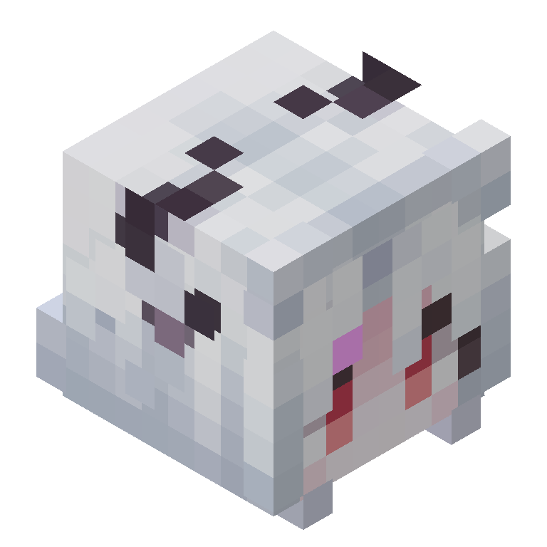 HEAD_ISO