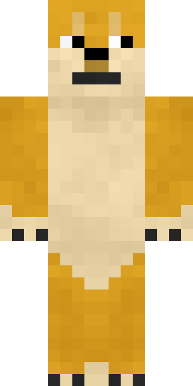 BODY